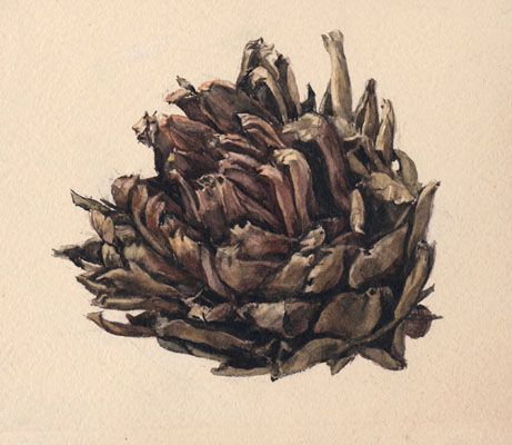 Watercolor of an artichoke