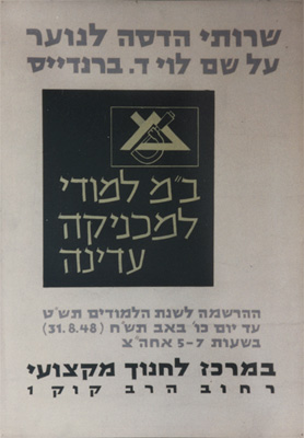 Louis D. Brandeis Youth Services poster